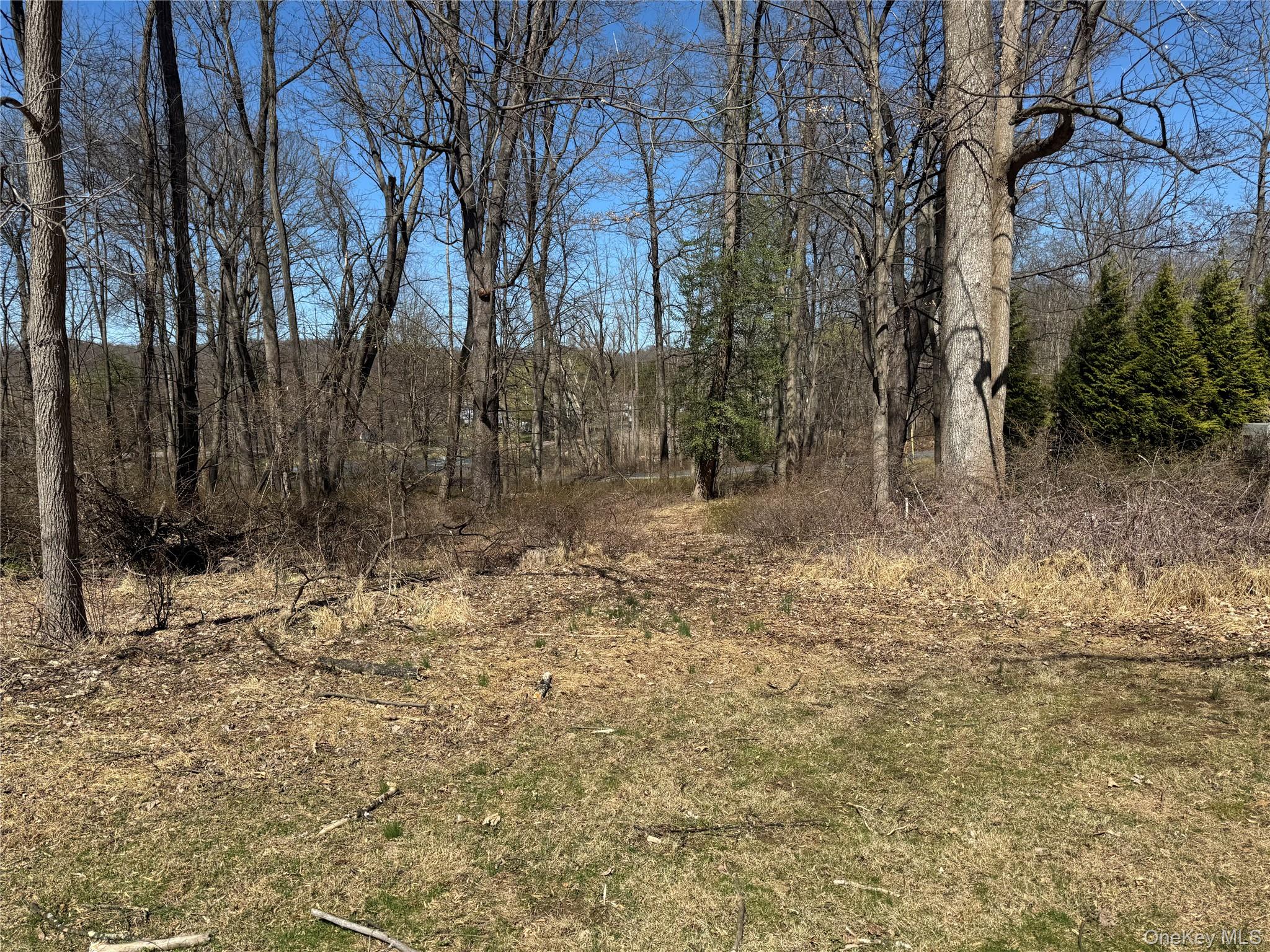 60 Locust Grove Road Rhinebeck, NY 12572 - Photo 5 of 6 Walking Path Cleared to Astor Way
