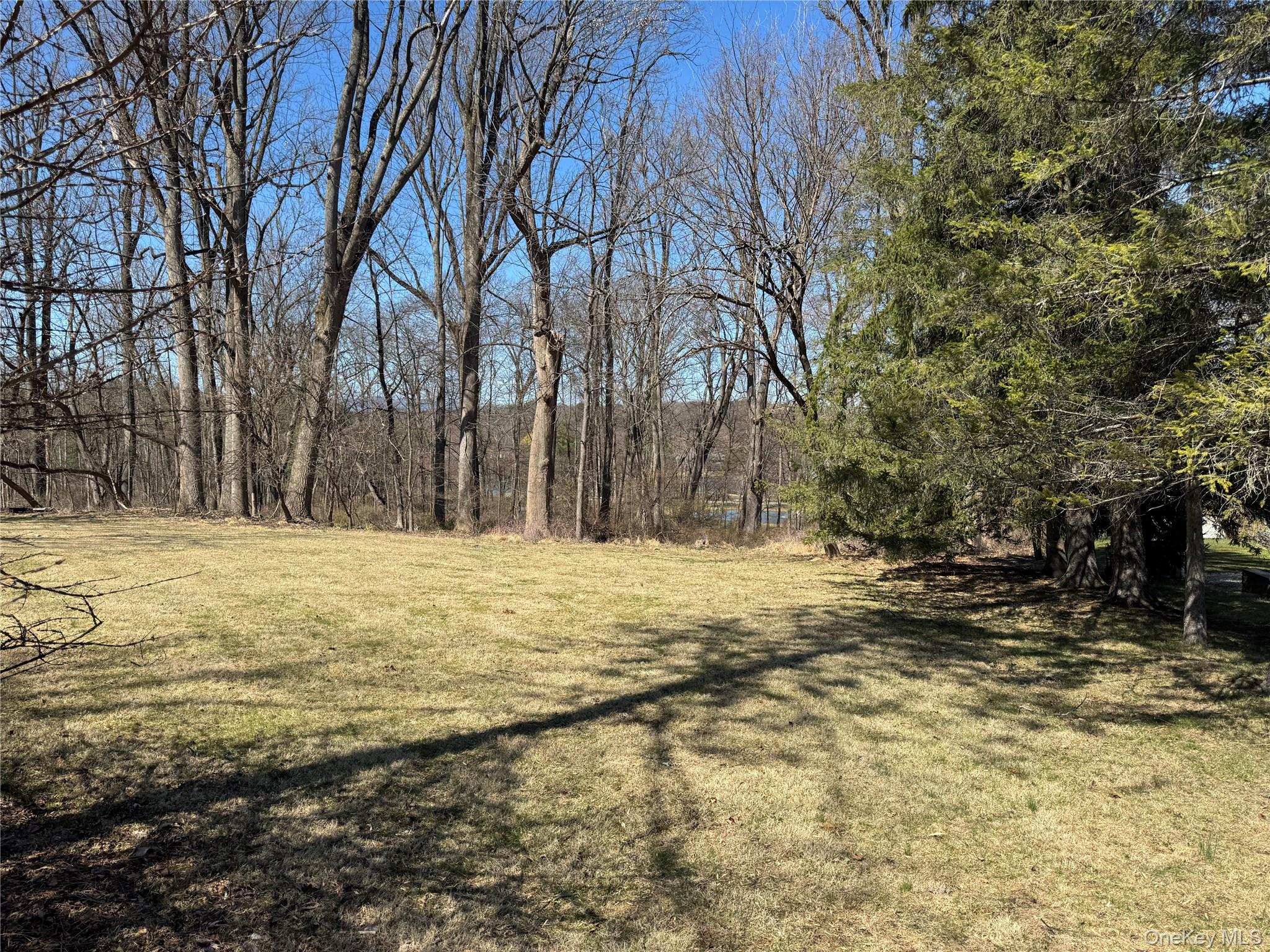60 Locust Grove Road Rhinebeck, NY 12572 - Photo 6 of 6 Winter Distant Catskill Mountain Views