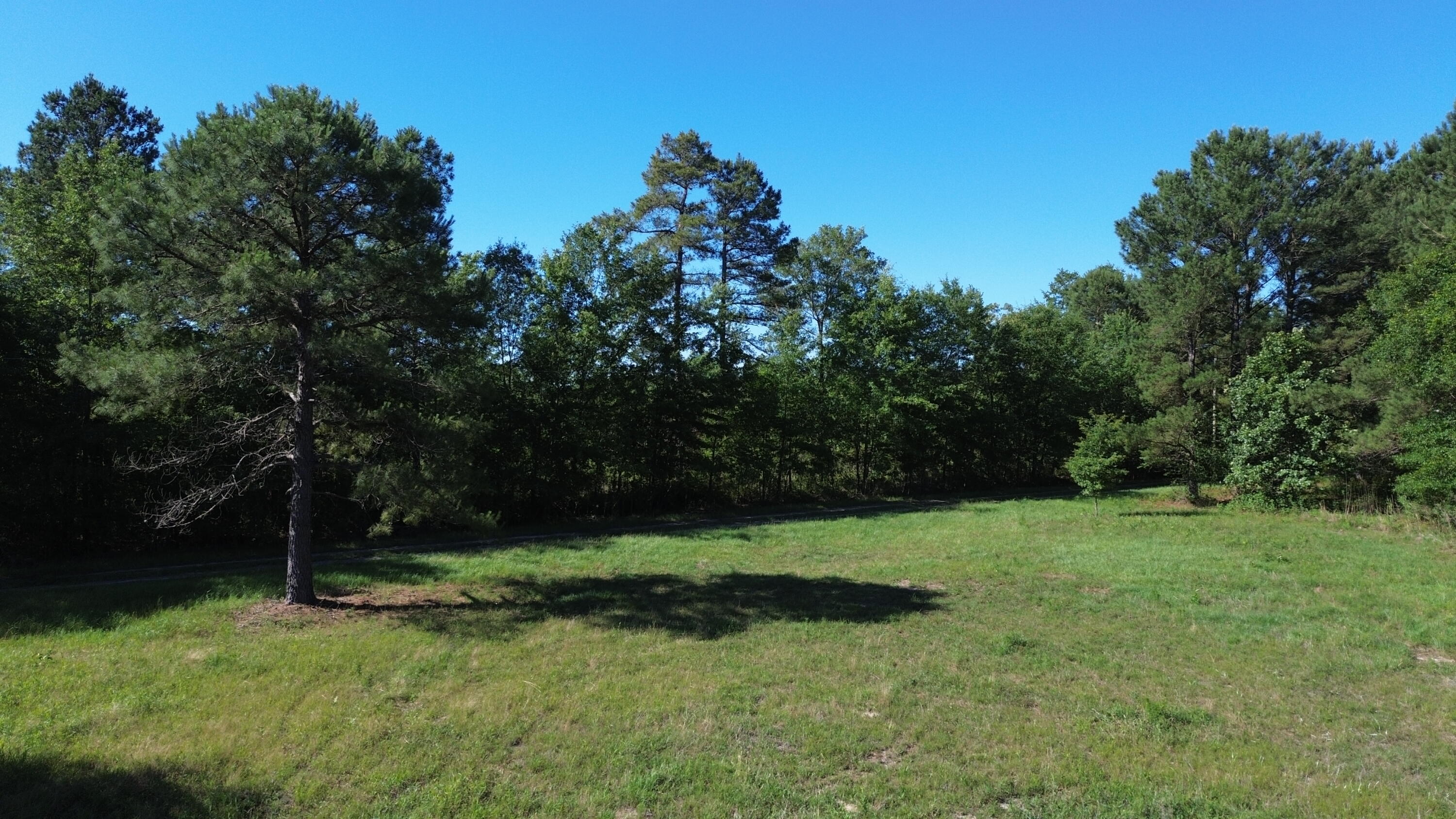 0 Holladay Road Manning, SC 29102 - Photo 12 of 35