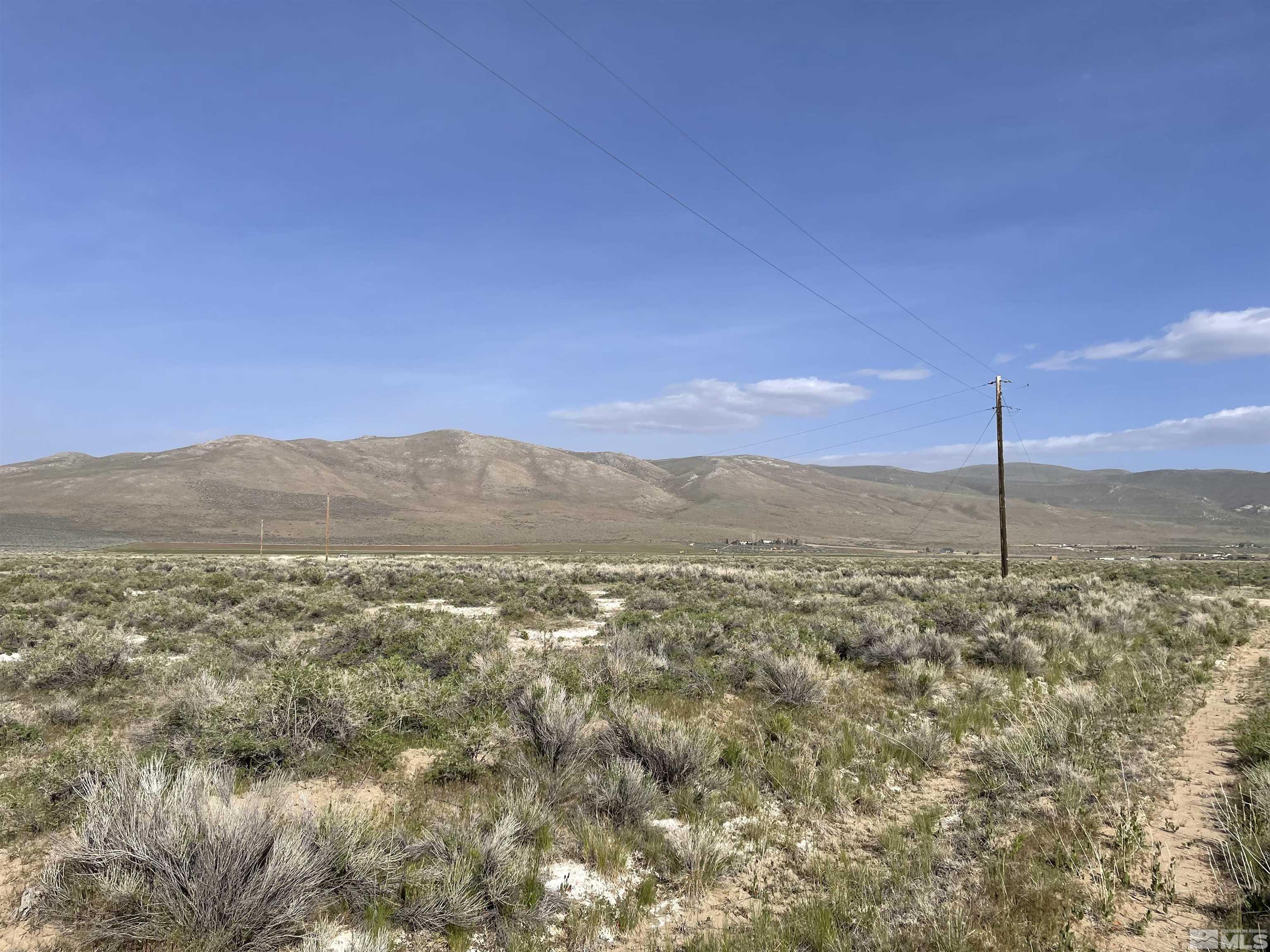 170 Muletail Circle Reno, NV 89508 - Photo 3 of 10 a view of an mountain from a yard