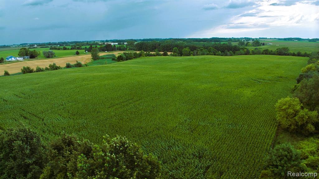 Vl Custer Road Carsonville, MI 48419 - Photo 10 of 16