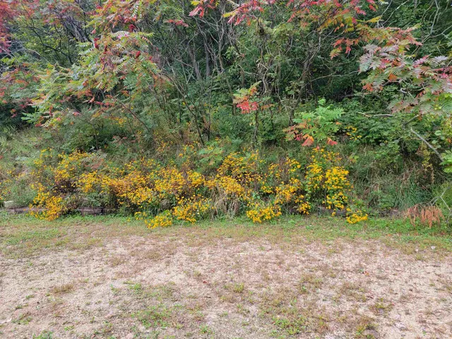 $340,000 | S6327 Highway 154, Hillpoint, WI 53937