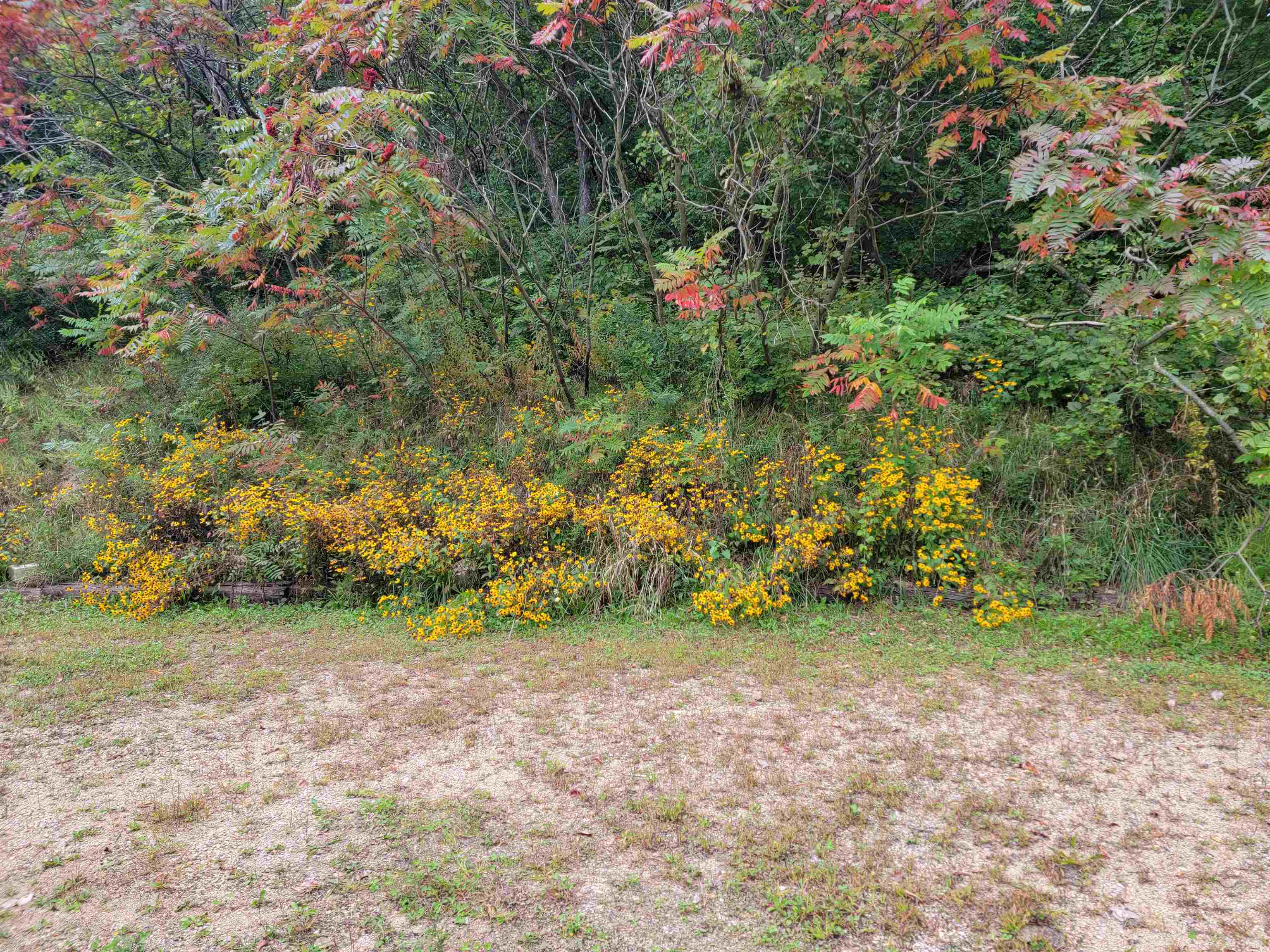 S6327 Highway 154 Hillpoint, WI 53937 - Photo 20 of 23