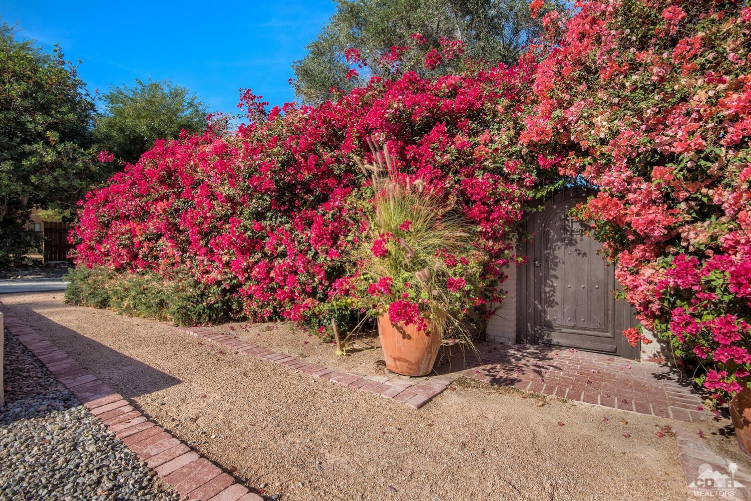 72220 Rancho Road Rancho Mirage, CA 92270 - Photo 8 of 24 a small garden covered with flower plants