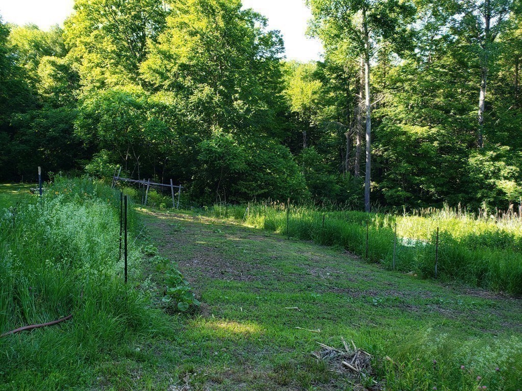 31 Goss Hill Road Huntington, MA 01050 - Photo 5 of 20 a view of a park