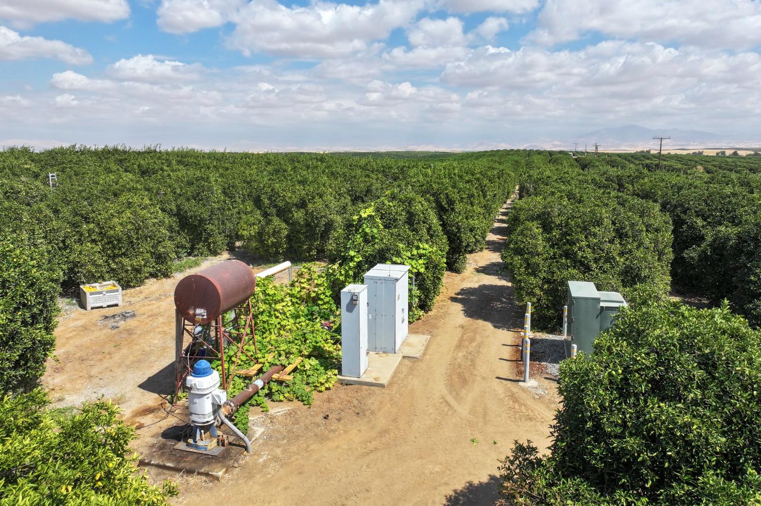 0 Ave 2 Richgrove Ca Delano, CA 93215 - Photo 11 of 11 a backyard of a house with lots of green space and garden