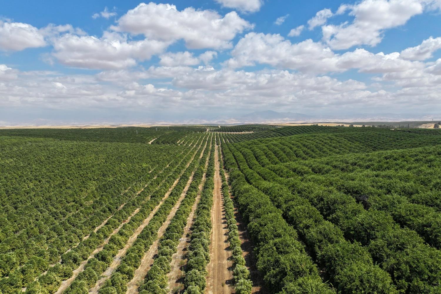 0 Ave 2 Richgrove Ca Delano, CA 93215 - Photo 2 of 11 a view of a yard with an outdoor space