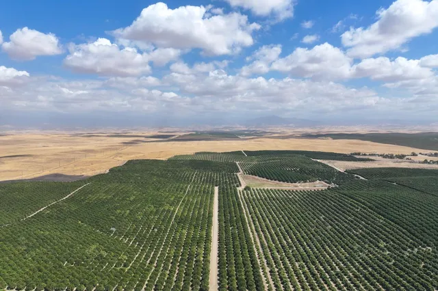 a view of an ocean from a balcony