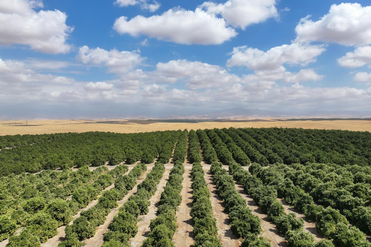 0 Ave 2 Richgrove Ca Delano, CA 93215 - Photo 6 of 11 a view of a city