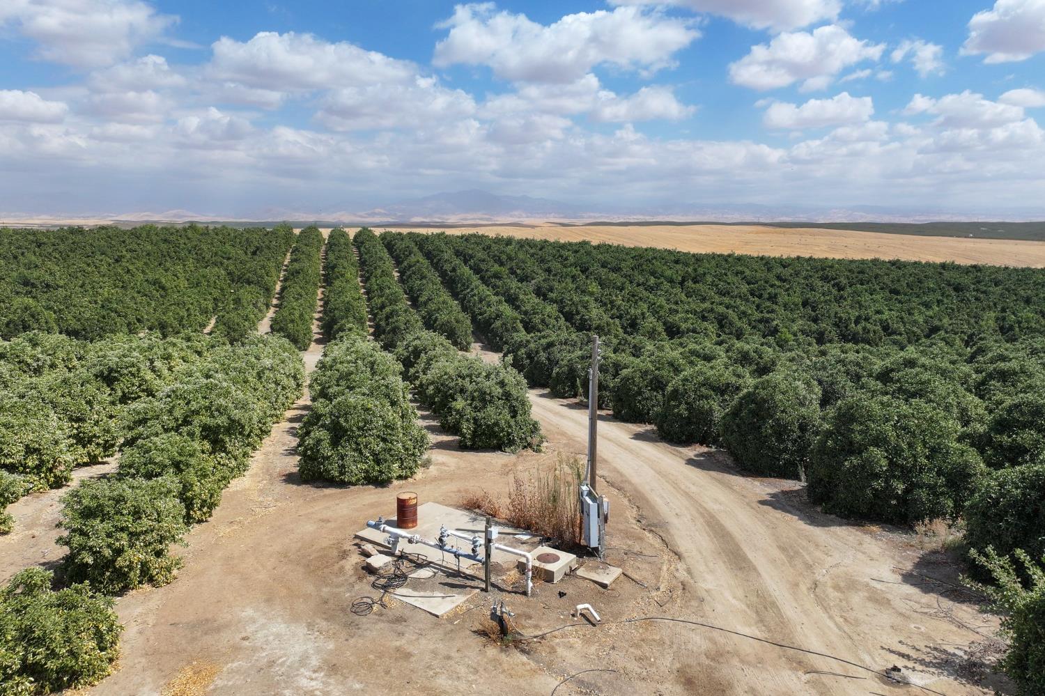 0 Ave 2 Richgrove Ca Delano, CA 93215 - Photo 9 of 11 a view of a bench in a backyard