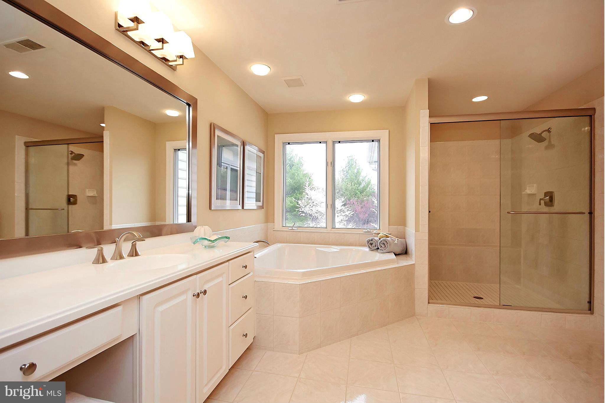 11313 Stones Throw Drive Reston, VA 20194 - Photo 17 of 30 Bath (Master)