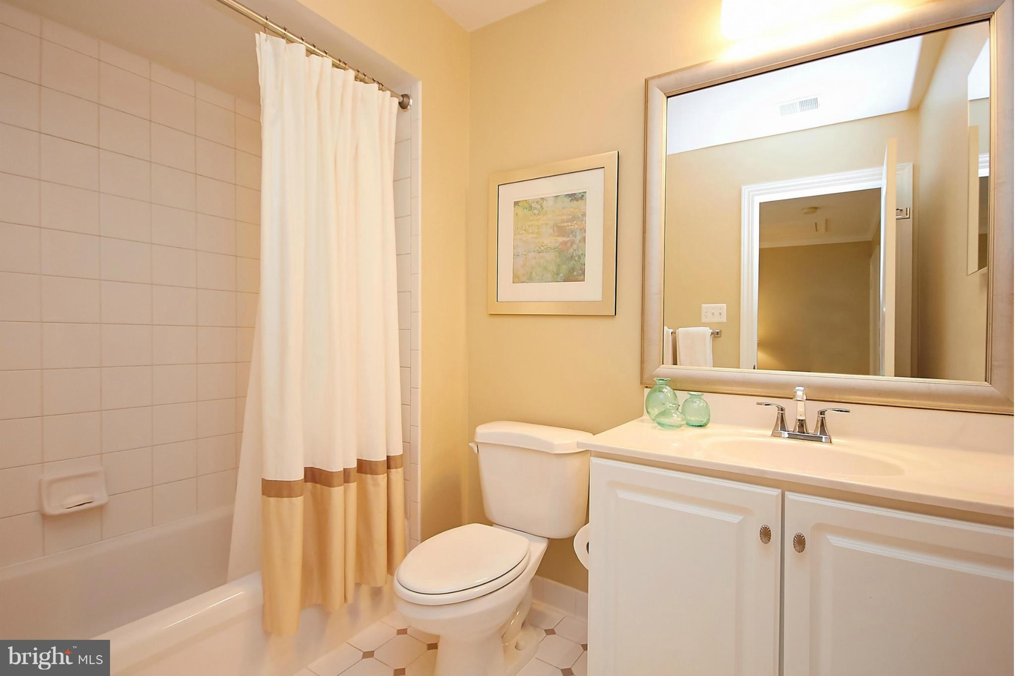 11313 Stones Throw Drive Reston, VA 20194 - Photo 19 of 30 Princess Suite Bathroom