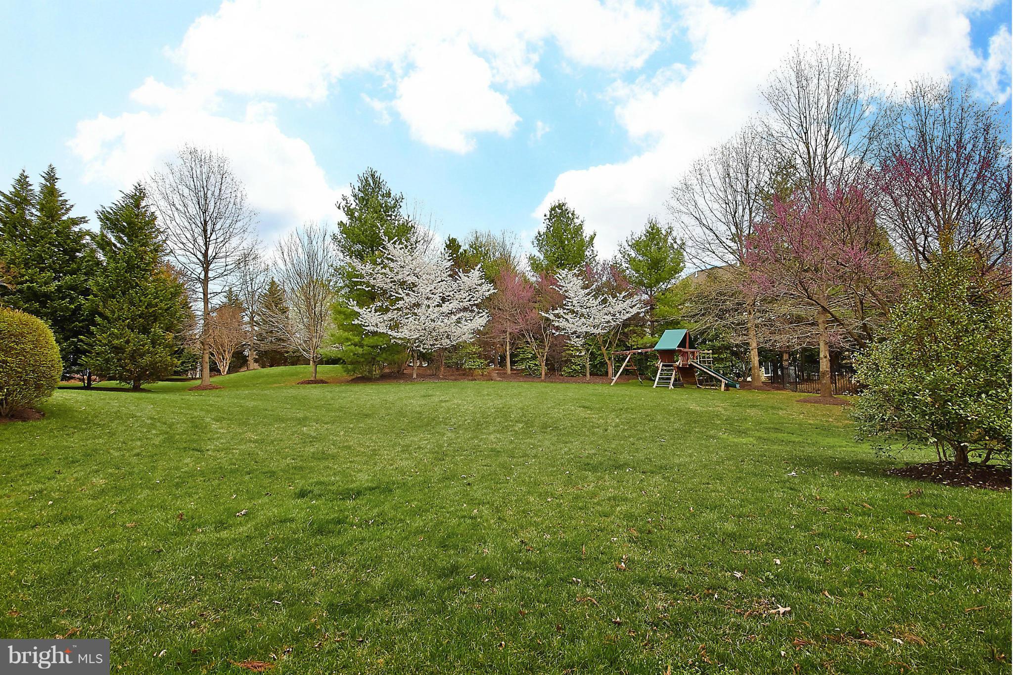 11313 Stones Throw Drive Reston, VA 20194 - Photo 28 of 30 Amazing Yard