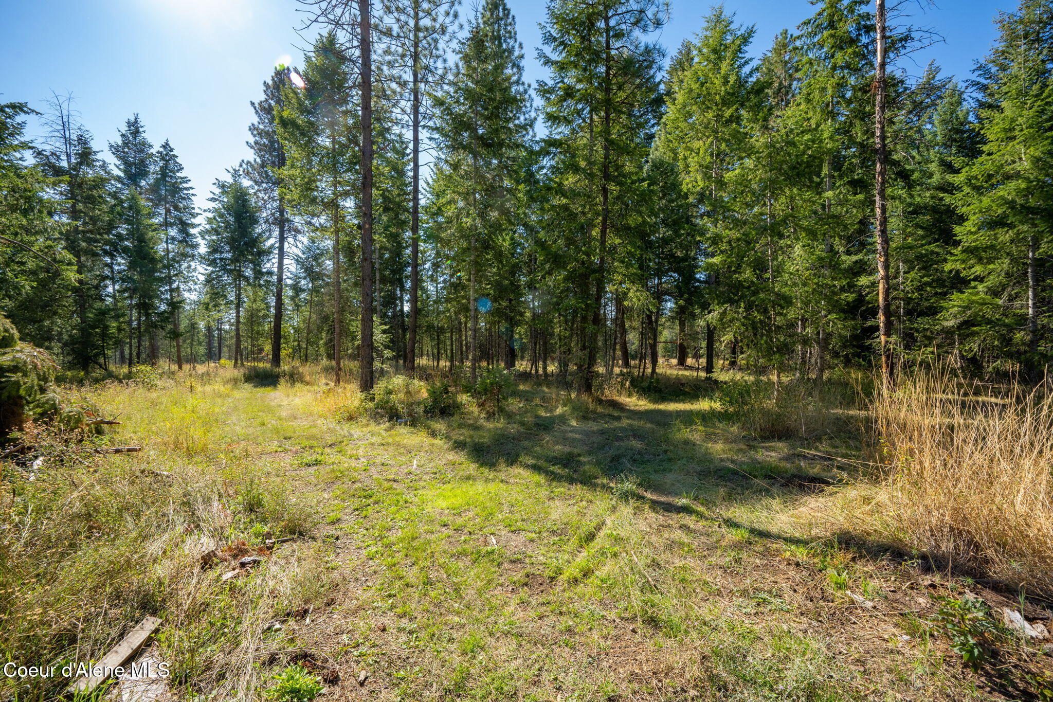 7434 West Diagonal Road Rathdrum, ID 83858 - Photo 47 of 69 Open Land & Space