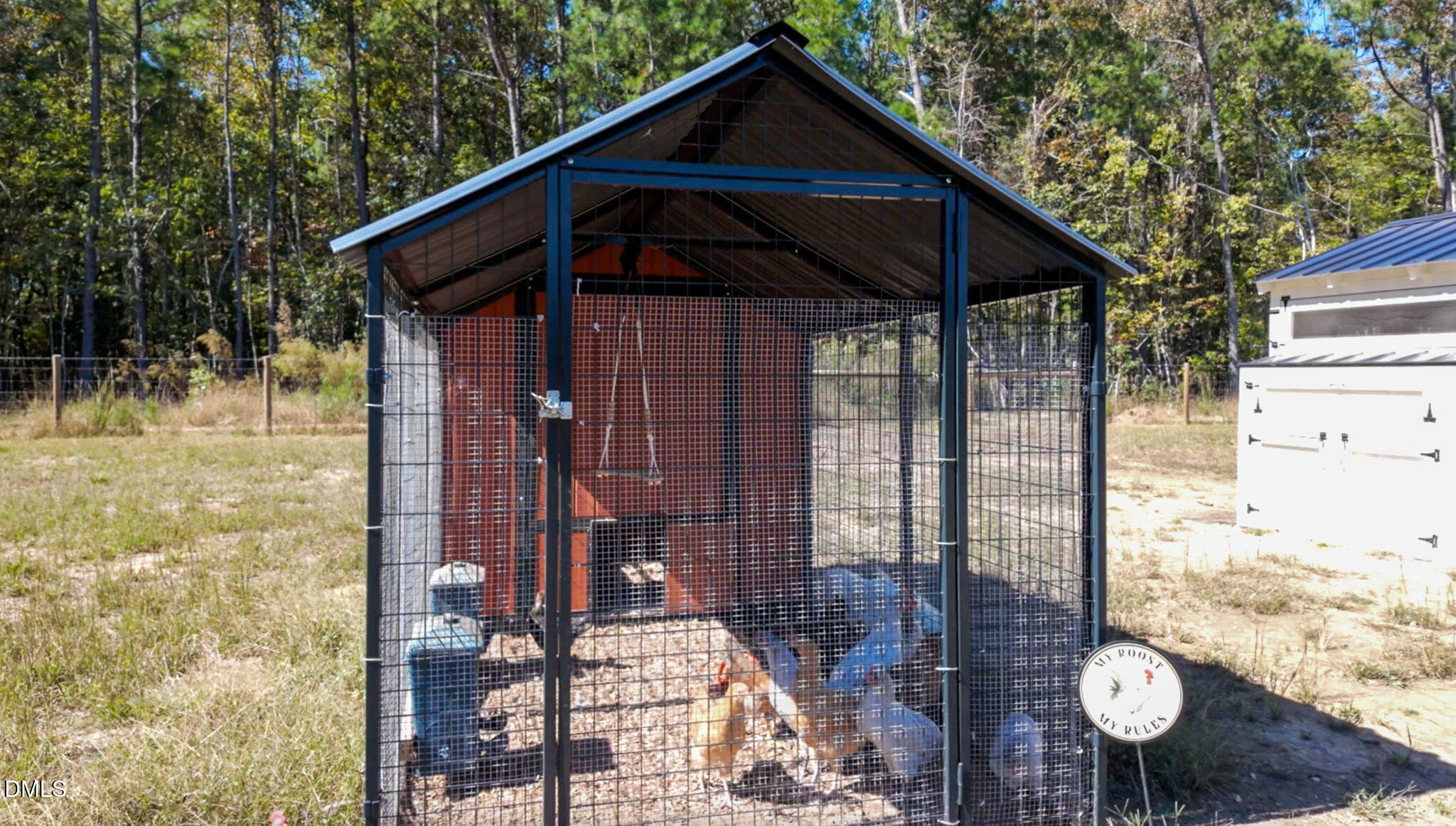 1280 Dickinson Road Smithfield, NC 27577 - Photo 58 of 60 chickens2