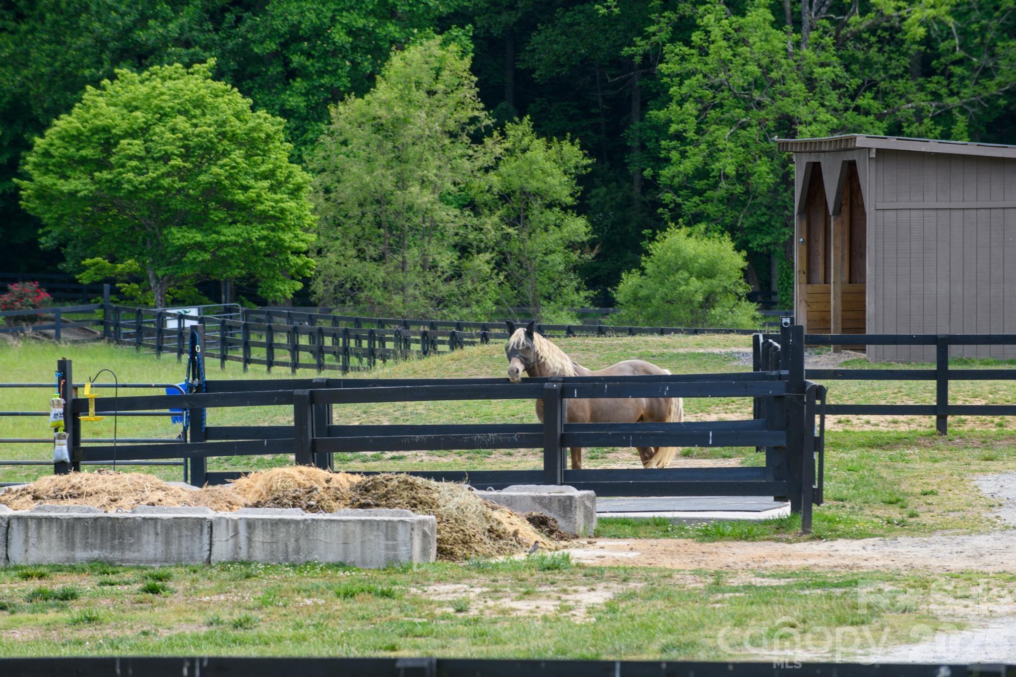 3680 Rocky Road Lenoir, NC 28645 - Photo 39 of 45