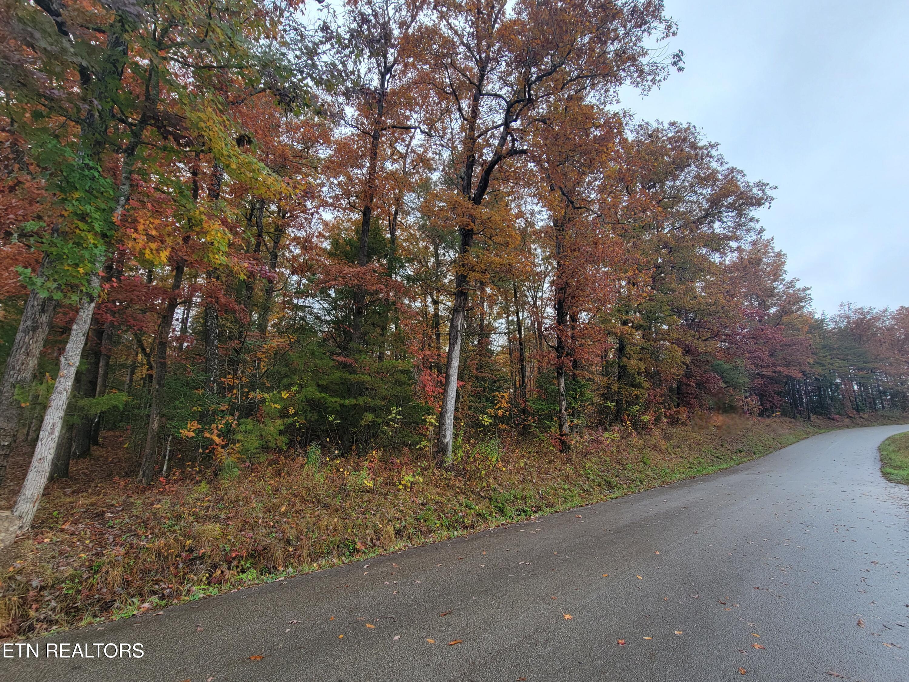 6605 Grave Hill Road Oneida, TN 37841 - Photo 2 of 9 20251030_131305