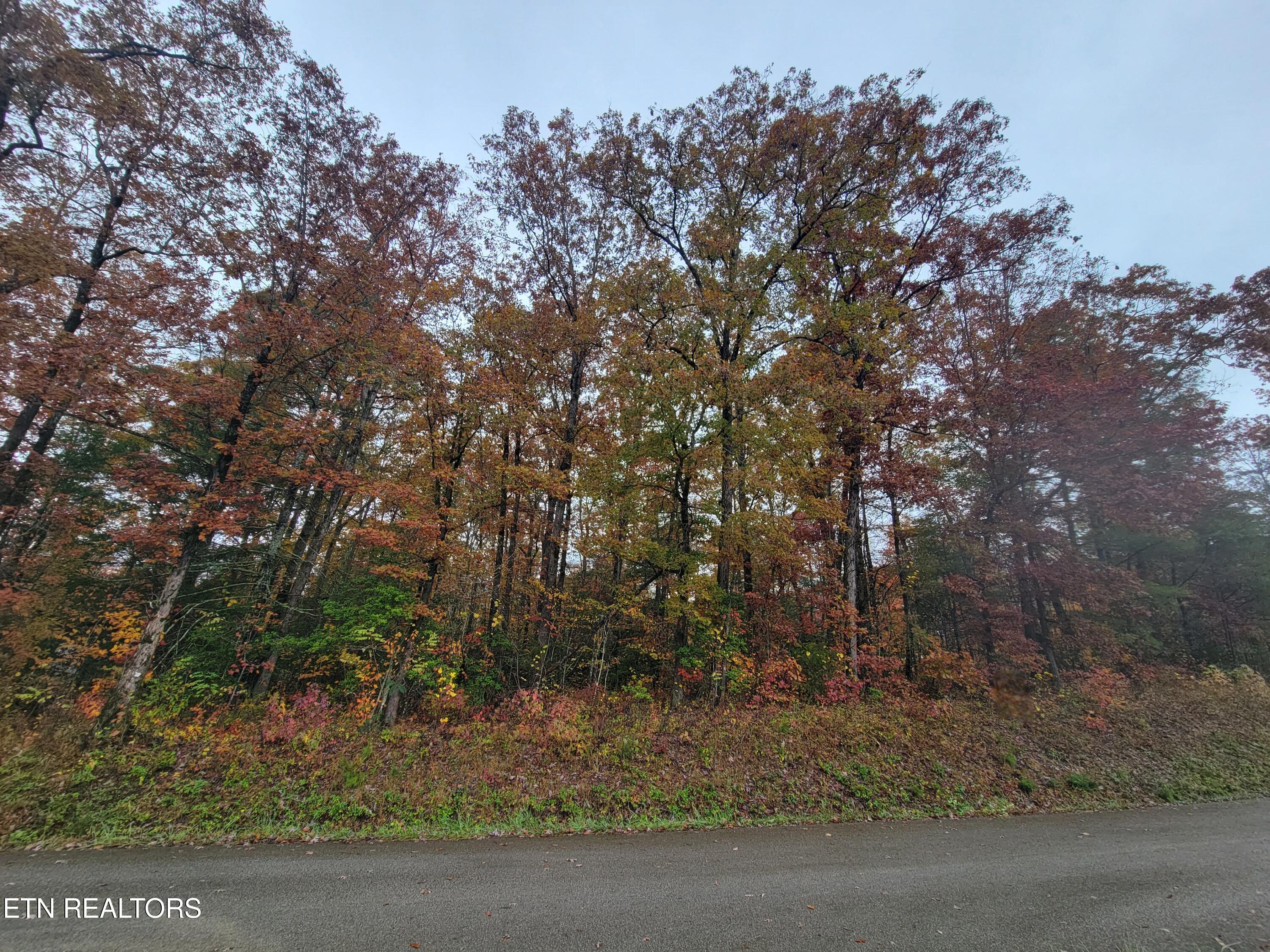 6605 Grave Hill Road Oneida, TN 37841 - Photo 3 of 9 20251030_131335