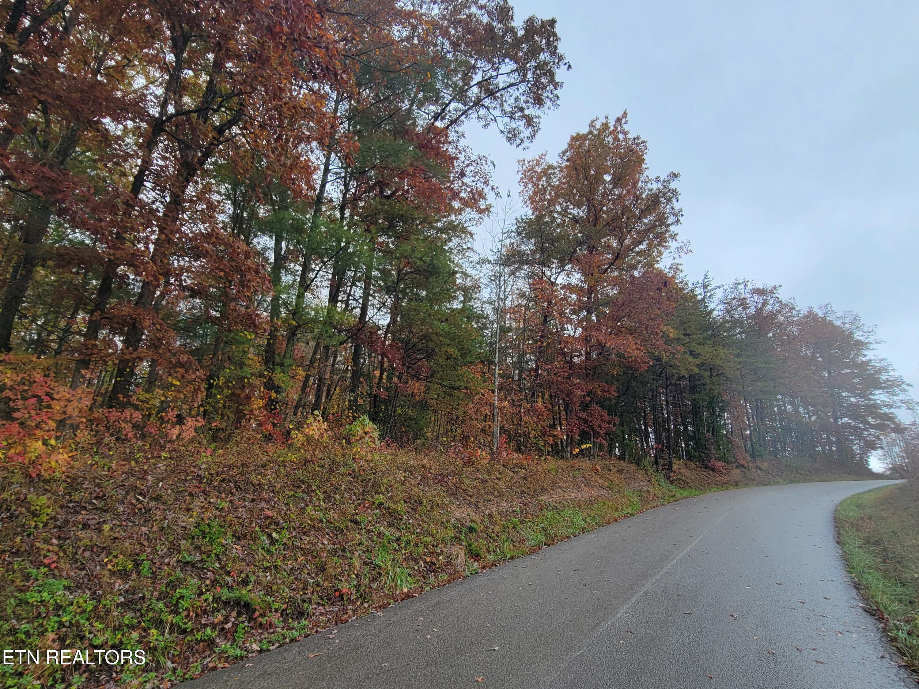 6605 Grave Hill Road Oneida, TN 37841 - Photo 4 of 9 20251030_131355