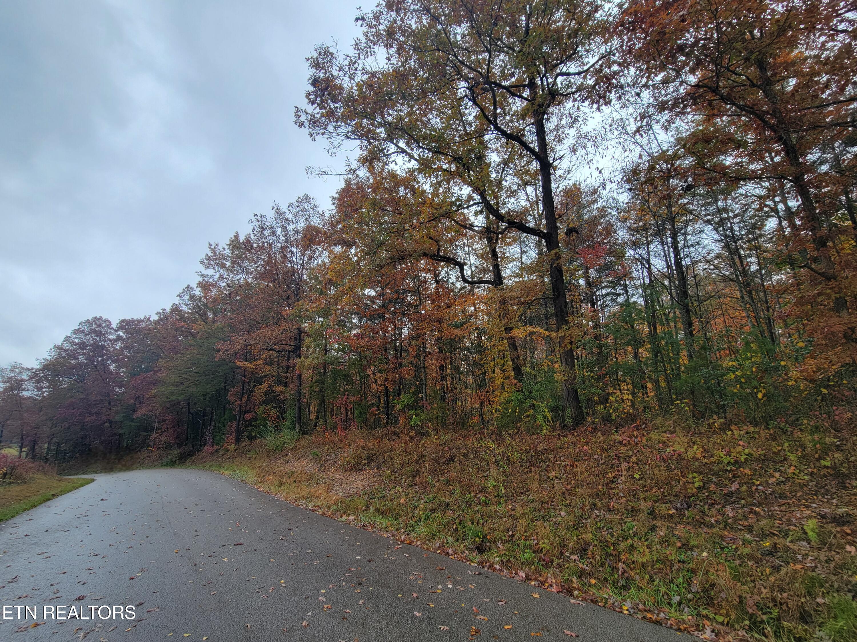 6605 Grave Hill Road Oneida, TN 37841 - Photo 6 of 9 20251030_131515