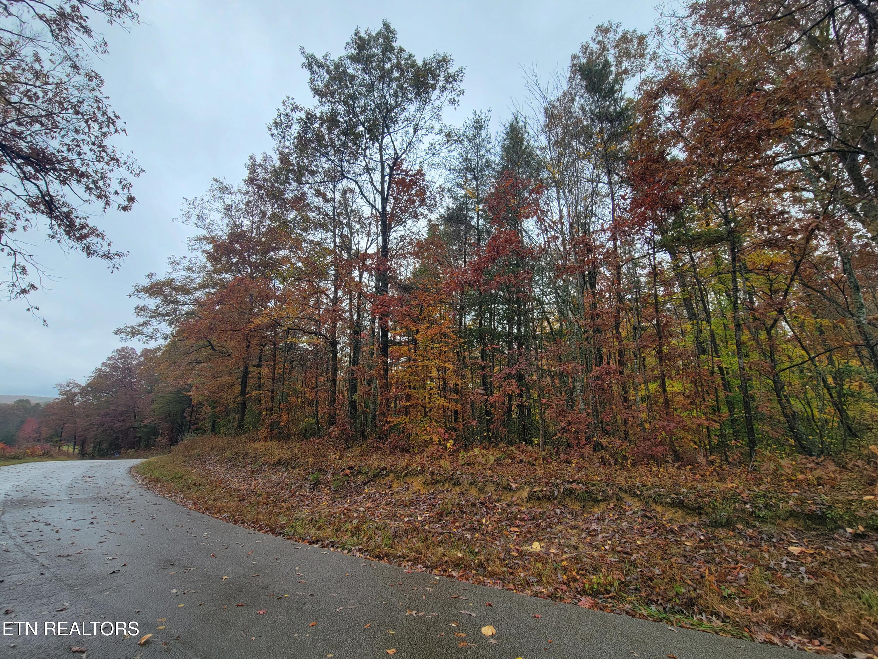 6605 Grave Hill Road Oneida, TN 37841 - Photo 7 of 9 20251030_131553