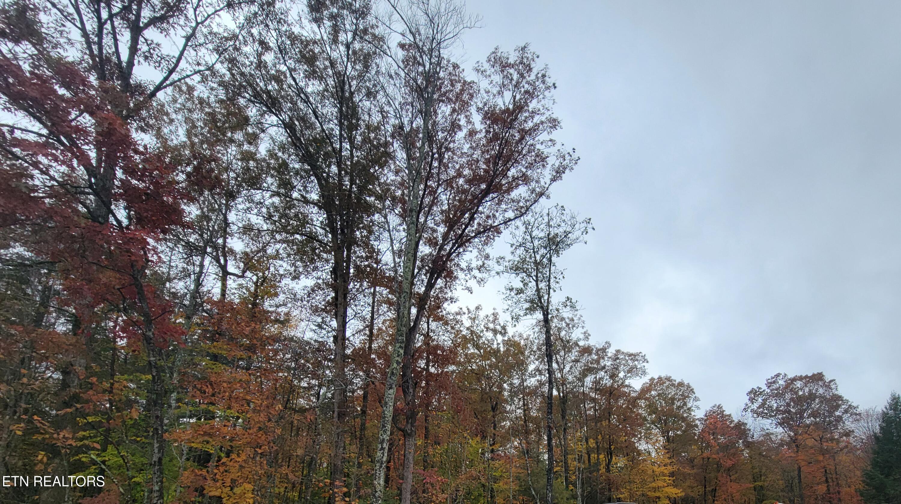 6605 Grave Hill Road Oneida, TN 37841 - Photo 8 of 9 20251030_131850