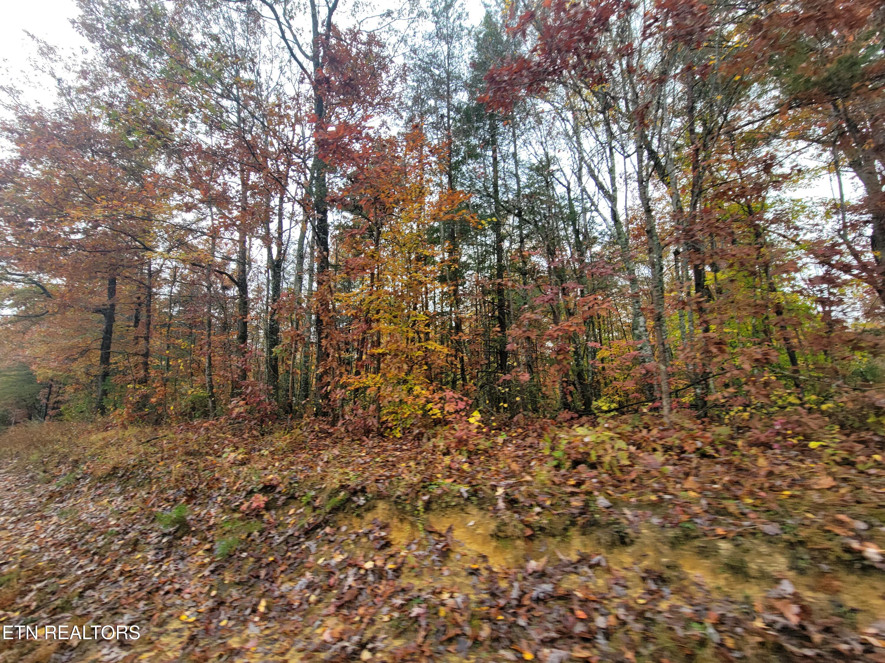 6605 Grave Hill Road Oneida, TN 37841 - Photo 9 of 9 20251030_131855