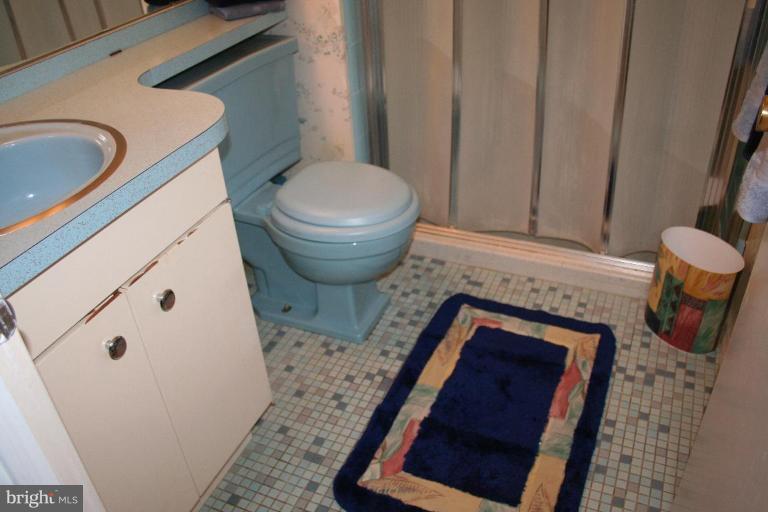 8300 Scotts Level Road Pikesville, MD 21208 - Photo 20 of 30 Master Bath #2
