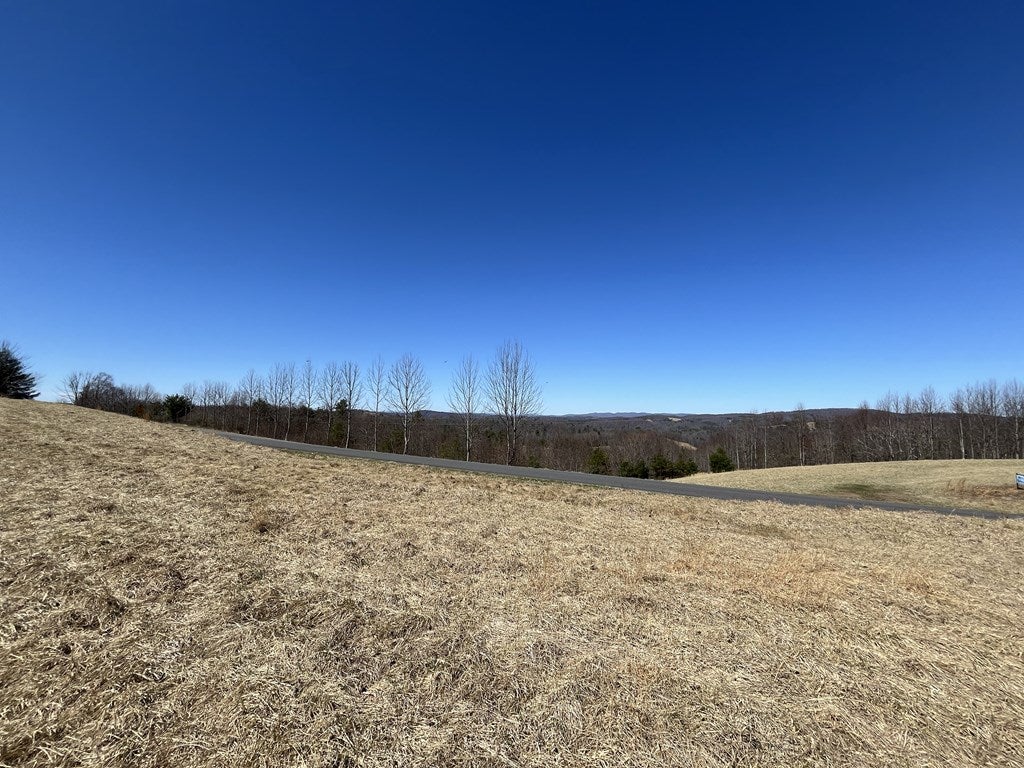 Tbd Silver Leaf Road Dugspur, VA 24325 - Photo 3 of 19 Gallery Image 3