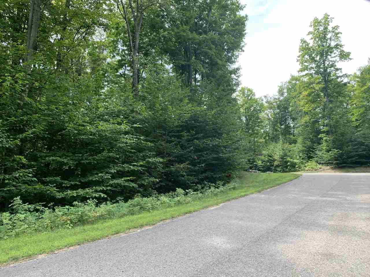 157 Falcons Rest, Unit LOT: 157 Bellaire, MI 49615 - Photo 3 of 36