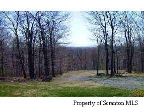 2117 Robinson Road Waymart, PA 18472 - Photo 4 of 5 Additional Photo