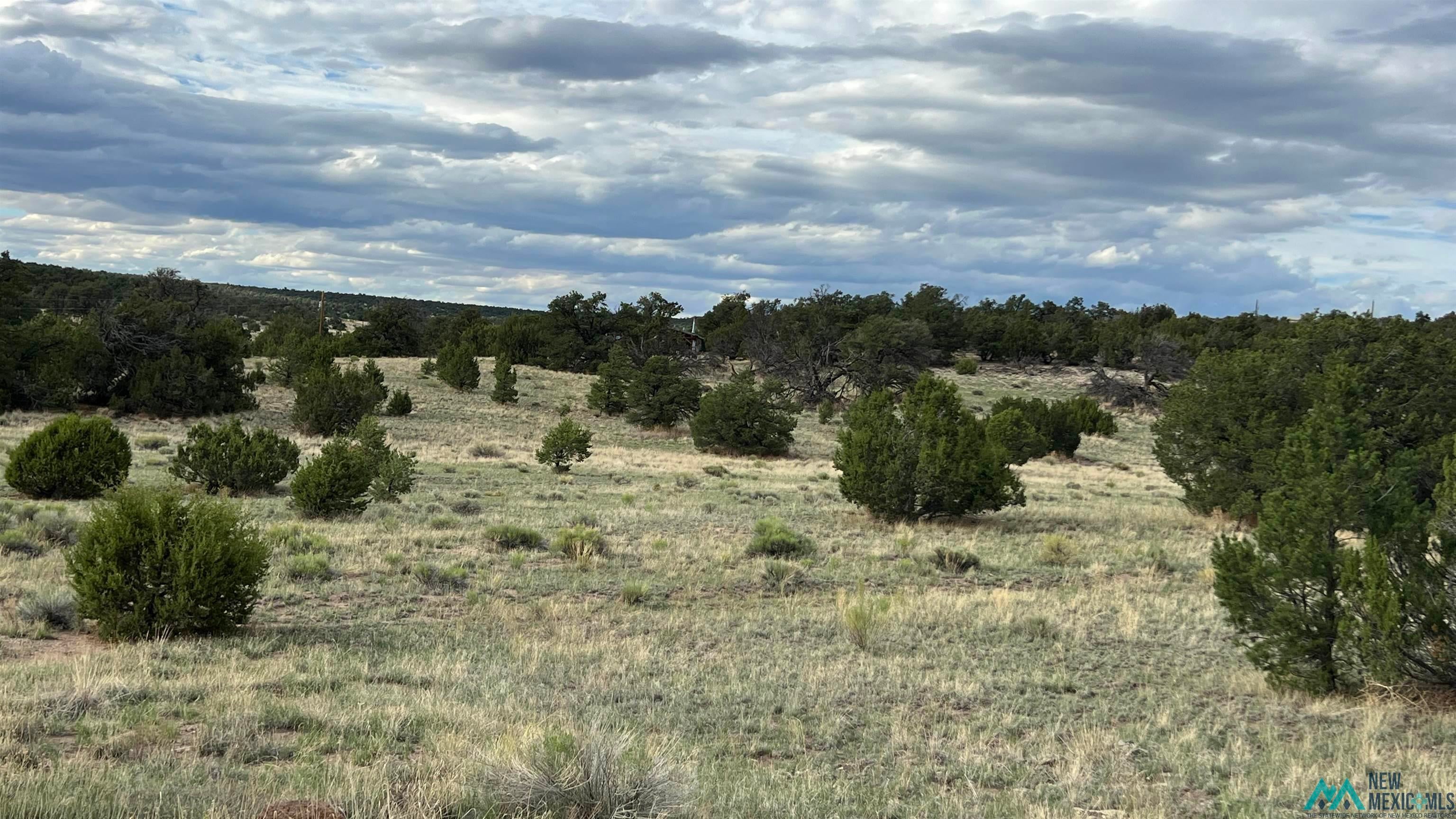 Warpath Road Quemado, NM 87829 - Photo 6 of 12 View of nature featuring rural landscape