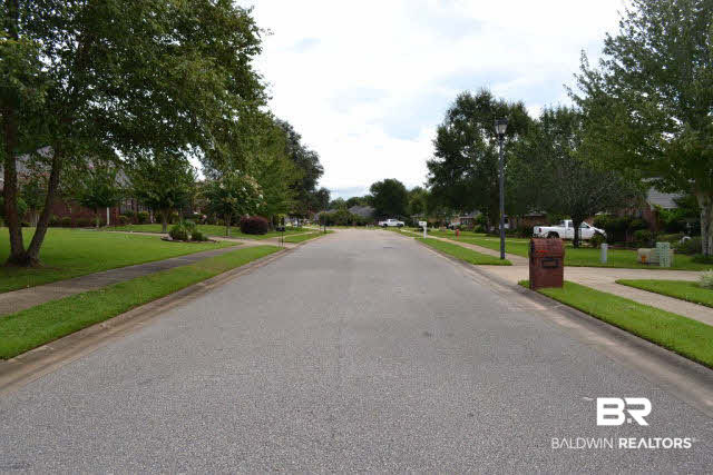 12042 Venice Boulevard Foley, AL 36535 - Photo 3 of 30 Street Scene
