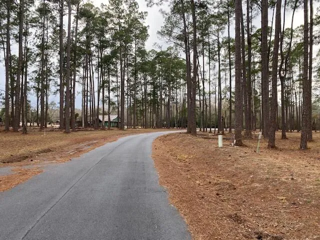 $25,000 | 0 Fairway Drive, Hampton, SC 29924