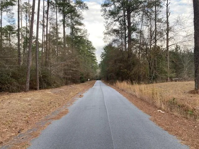 $25,000 | 0 Fairway Drive, Hampton, SC 29924