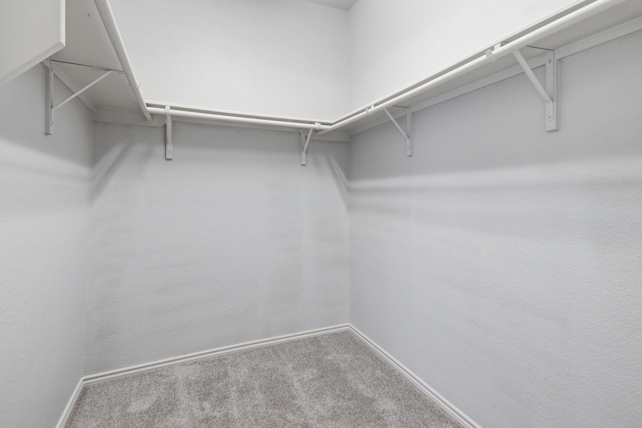 500 Red Hawk Drive Leander, TX 78641 - Photo 20 of 35 Walk in closet with carpet flooring