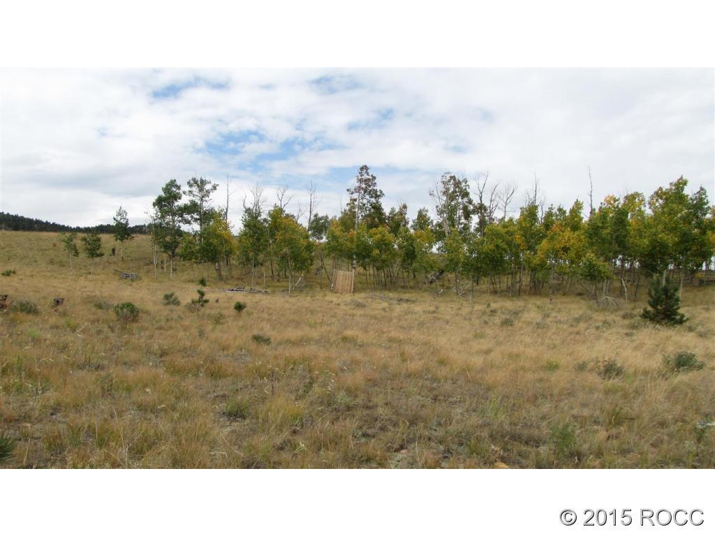 11503 Ranch Road Hartsel, CO 80449 - Photo 11 of 14 Gallery Image 11