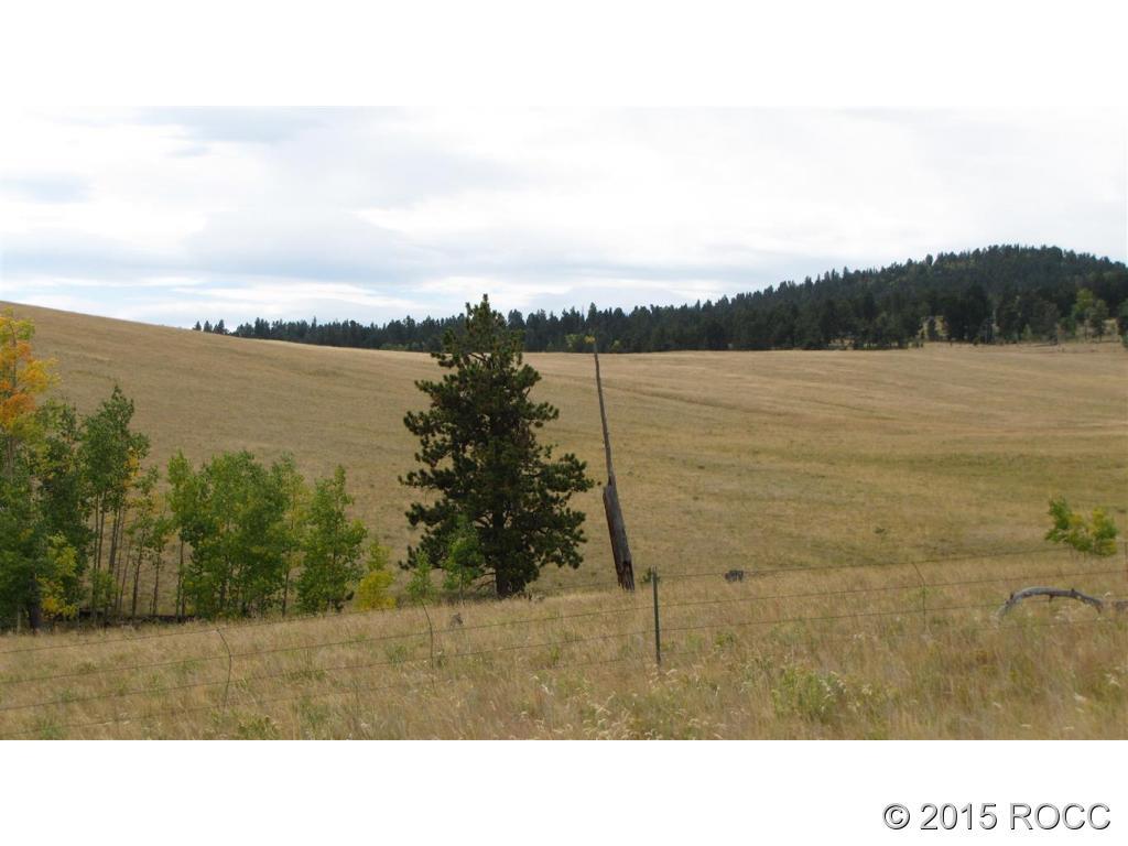 11503 Ranch Road Hartsel, CO 80449 - Photo 8 of 14 Gallery Image 8