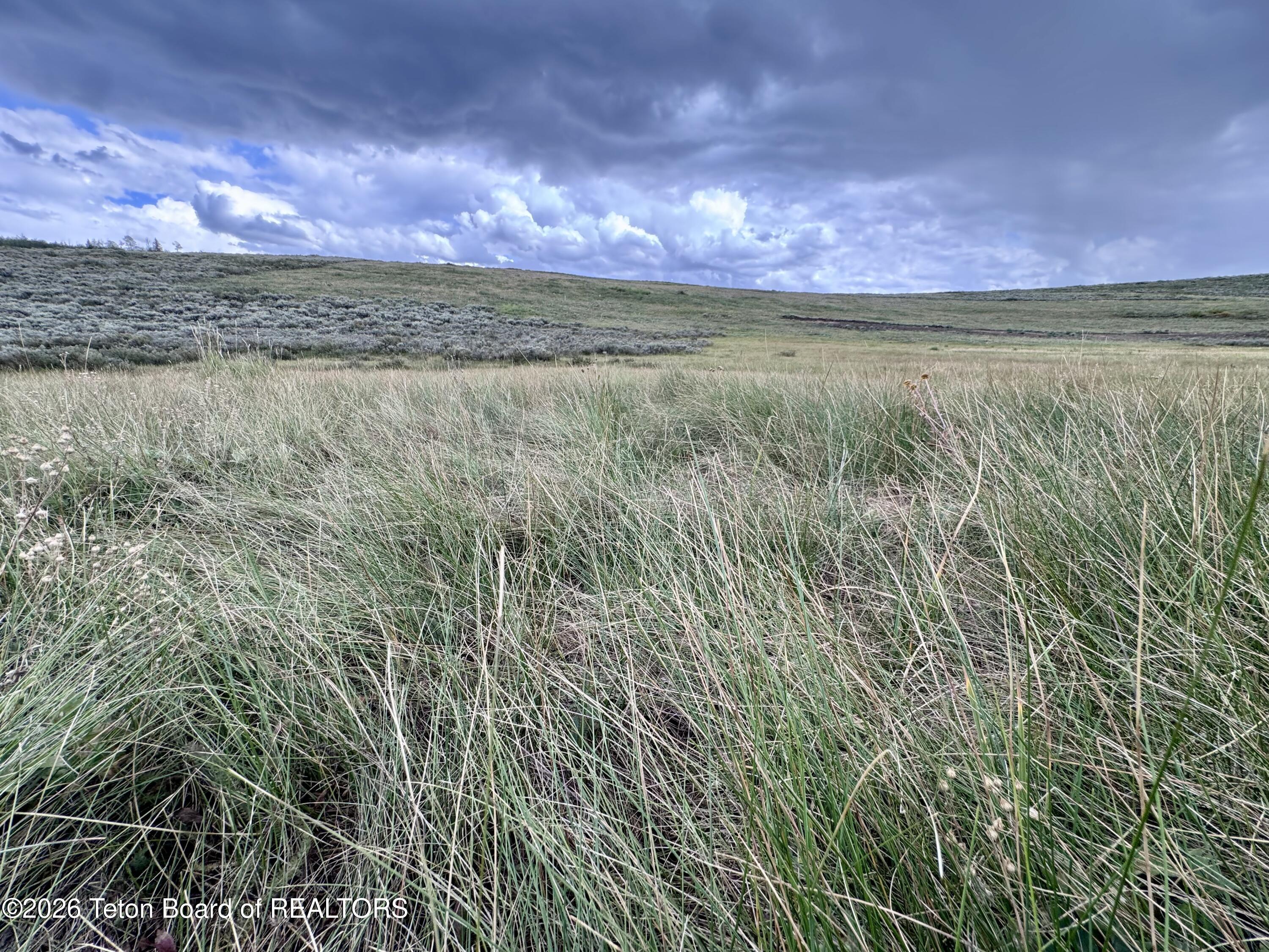 59 Aspen Ridge Road Daniel, WY 83115 - Photo 39 of 44 More pretty pasture