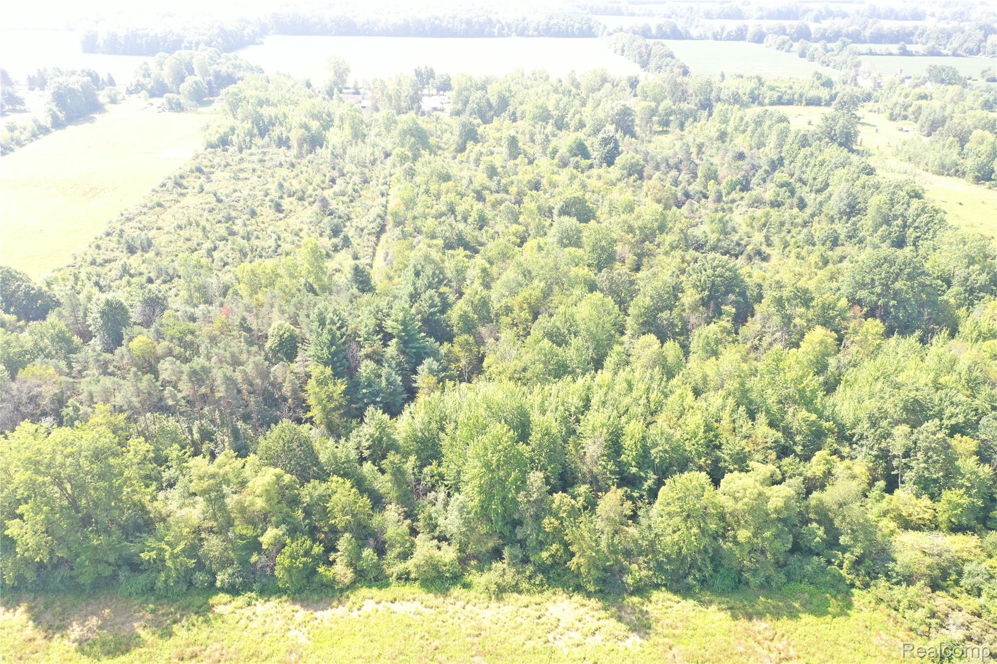 1 Foley Road Emmett, MI 48022 - Photo 3 of 16 DJI_0343.JPG