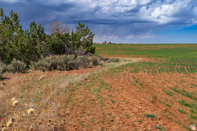 1 North Bug Point Monticello, UT 84535 - Photo 4 of 23 Expansive agricultural land featuring cultivated fields and natural vegetation bordering the property