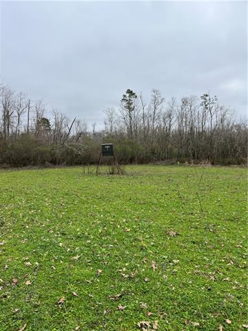 0 Lower Rome Road Springfield, LA 70462 - Photo 11 of 60