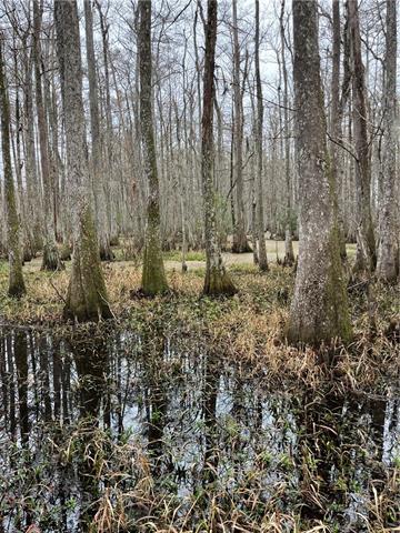 0 Lower Rome Road Springfield, LA 70462 - Photo 13 of 60