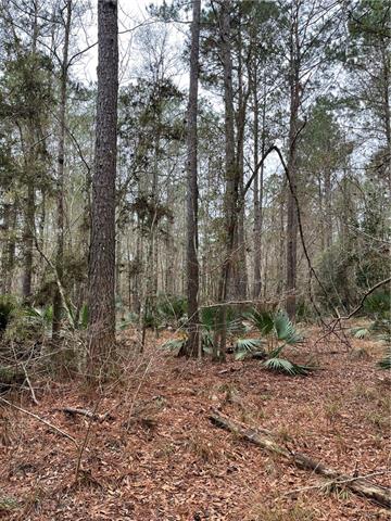 0 Lower Rome Road Springfield, LA 70462 - Photo 14 of 60