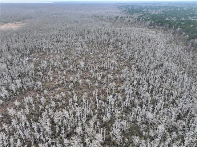 0 Lower Rome Road Springfield, LA 70462 - Photo 15 of 60