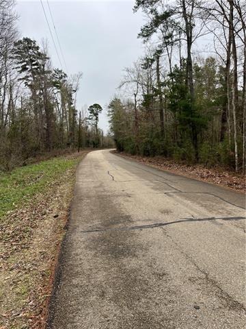 0 Lower Rome Road Springfield, LA 70462 - Photo 17 of 60