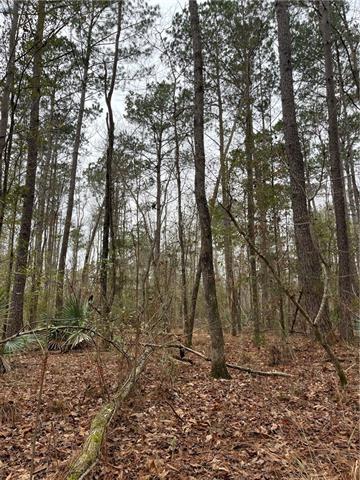 0 Lower Rome Road Springfield, LA 70462 - Photo 18 of 60