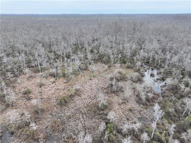 0 Lower Rome Road Springfield, LA 70462 - Photo 2 of 60