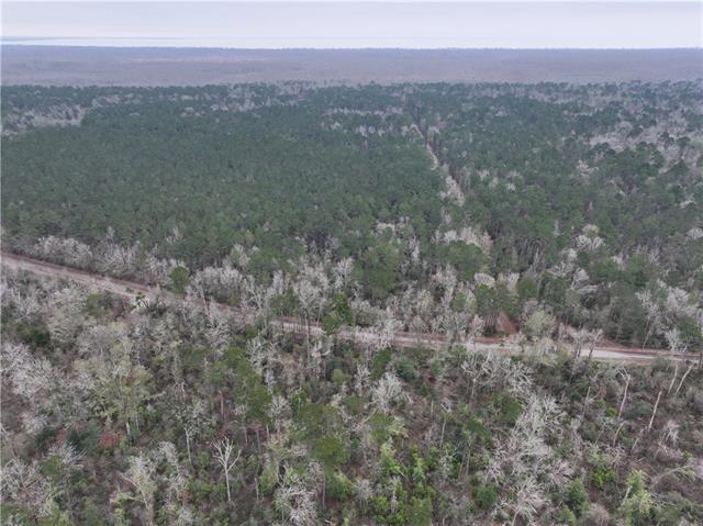 0 Lower Rome Road Springfield, LA 70462 - Photo 21 of 60