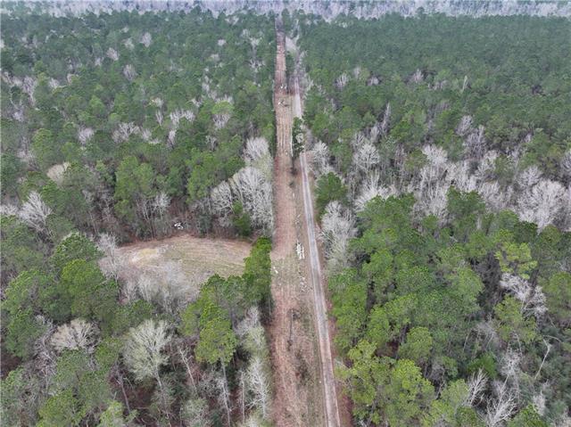 0 Lower Rome Road Springfield, LA 70462 - Photo 22 of 60